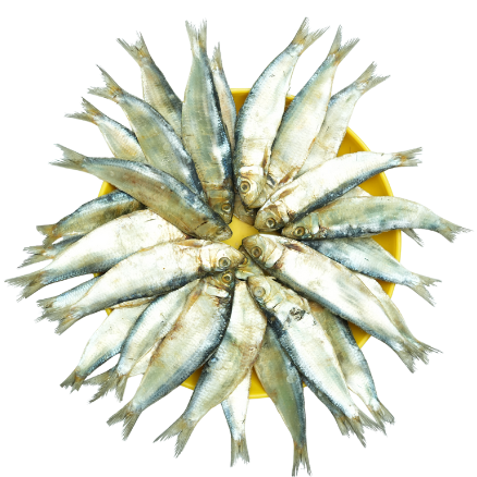 Chaalai karuvadu (Sardine ) 250g