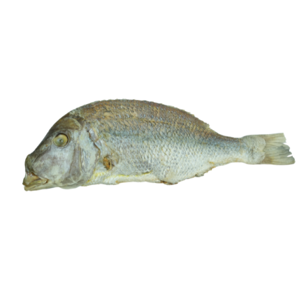 Thundu karuvadu (velai meen) 250g